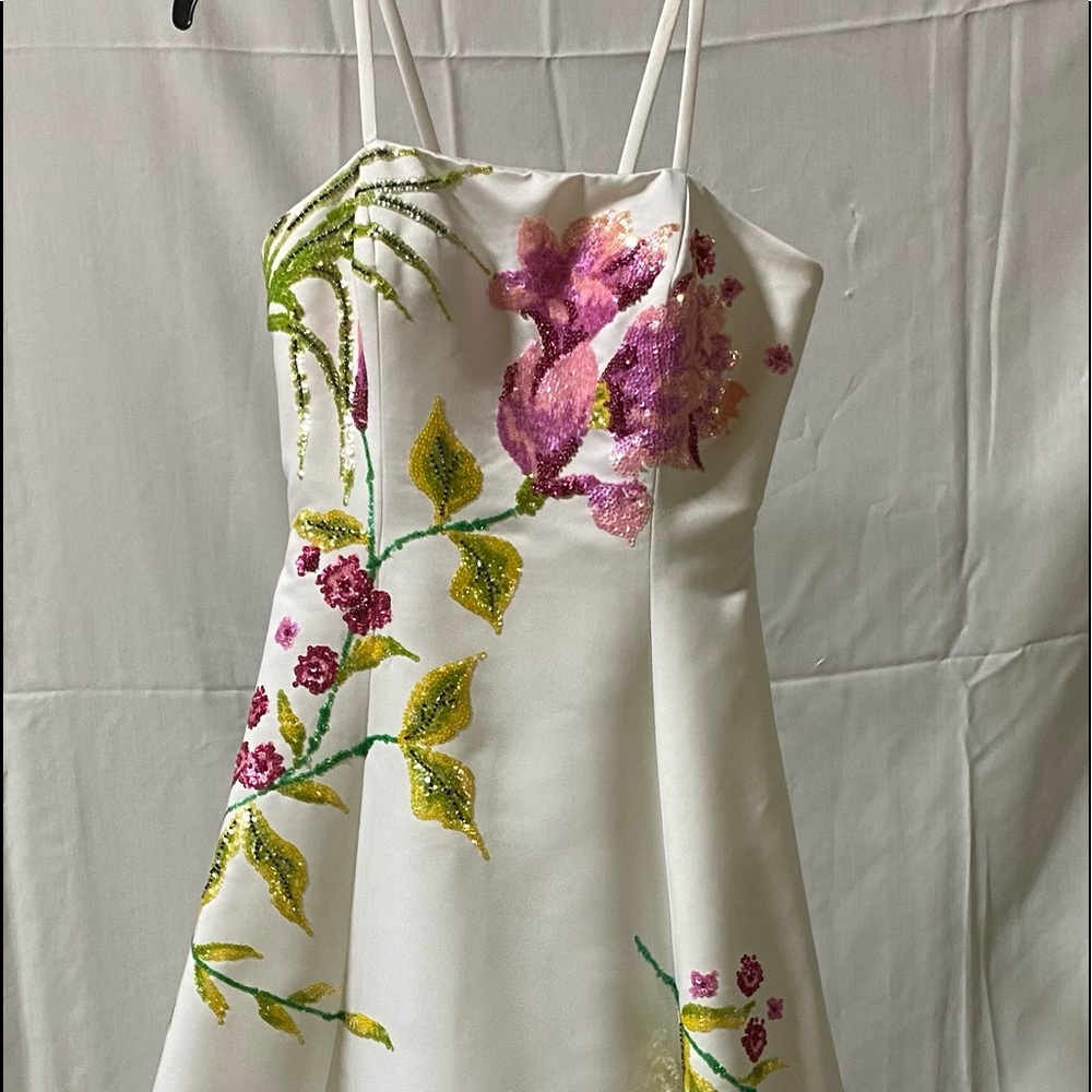 Cassandra Stone Formal Embroidered Flowers Gown 
Beautiful condition. Costume